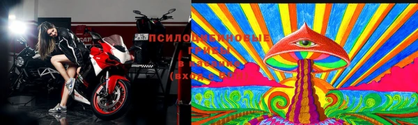 spice Абинск