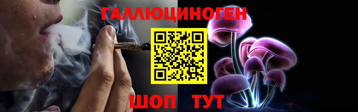 Галлюциногенные грибы GOLDEN TEACHER  Вход с VPN  Юрга  Псилоцибиновые грибы Magic Shrooms 